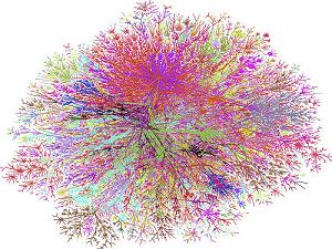 community-driven content