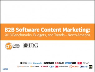 B2B-content-marketing-software-2013-report