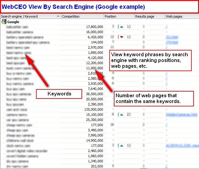 web ceo-view by search engine