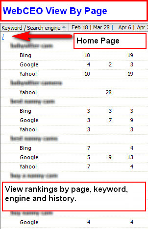 web ceo-view by page