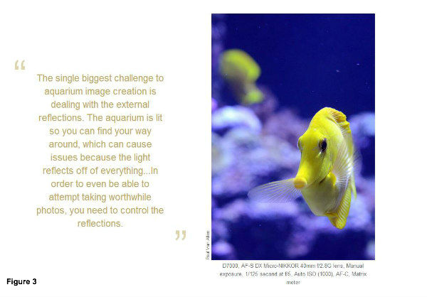 aquarium image-Nikon
