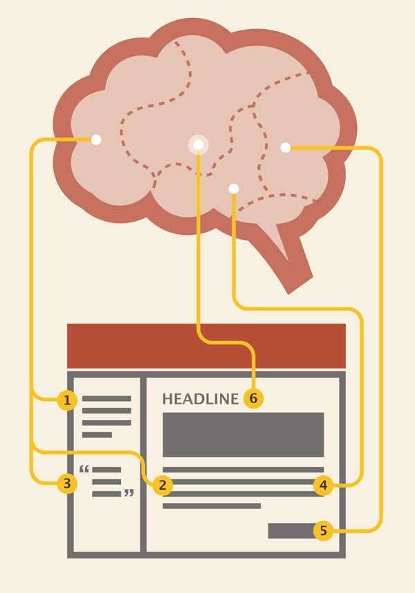 areas of the brain-graphic