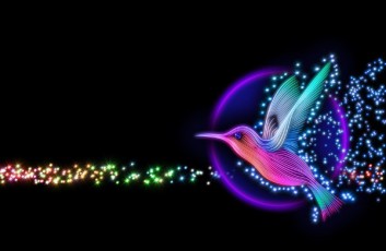 colorful hummingbird-google