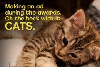 cat picture-making an ad