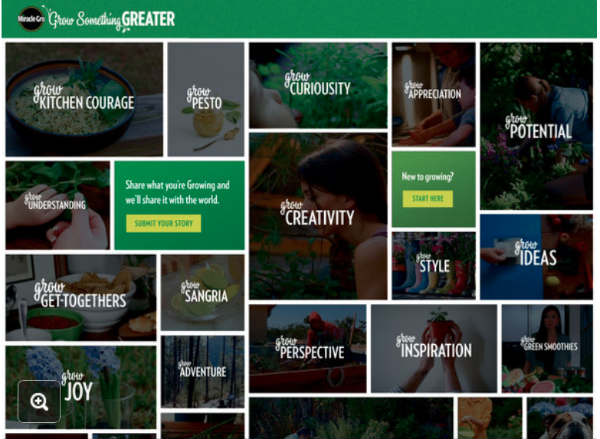 miracle-gro-greater-content
