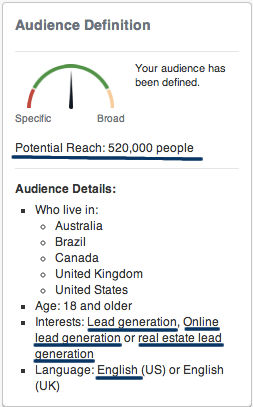 example-audience definition details