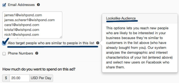 example-targeting lookalike audience