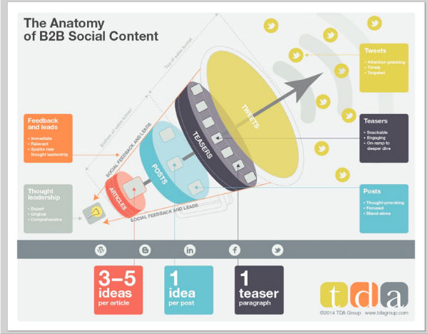 infographic-anatomy-b2b content