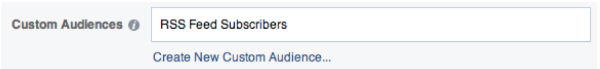 window for targeting custom audience