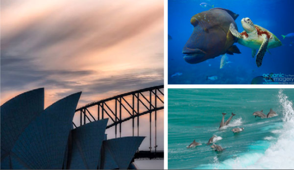 sydney opera house image-australia tourism