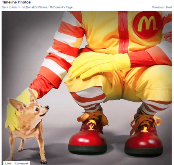 mcdonalds clown petting chihuahua