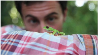 man's face-frog on arm