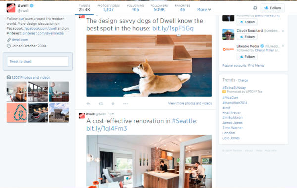 twitter example-dog-dwell 