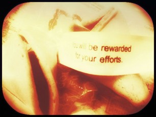 fortune cookie-rewarded for efforts
