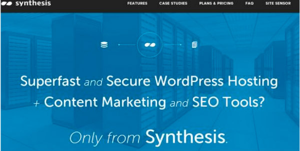 synthesis example-seo tools