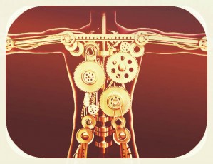 body-with gears inside