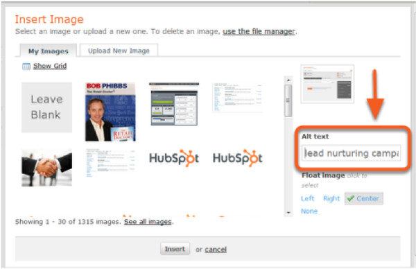 hubspot example-alt text