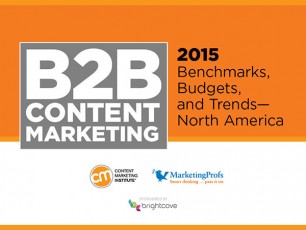 b2b content marketing-cmi 