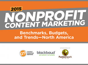 2015_Nonprof_Cover
