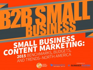 2015_B2B_SmallBiz_Cover