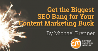 brenner-seo-content-marketing-buck-cover