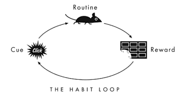 habit-loop-image 2