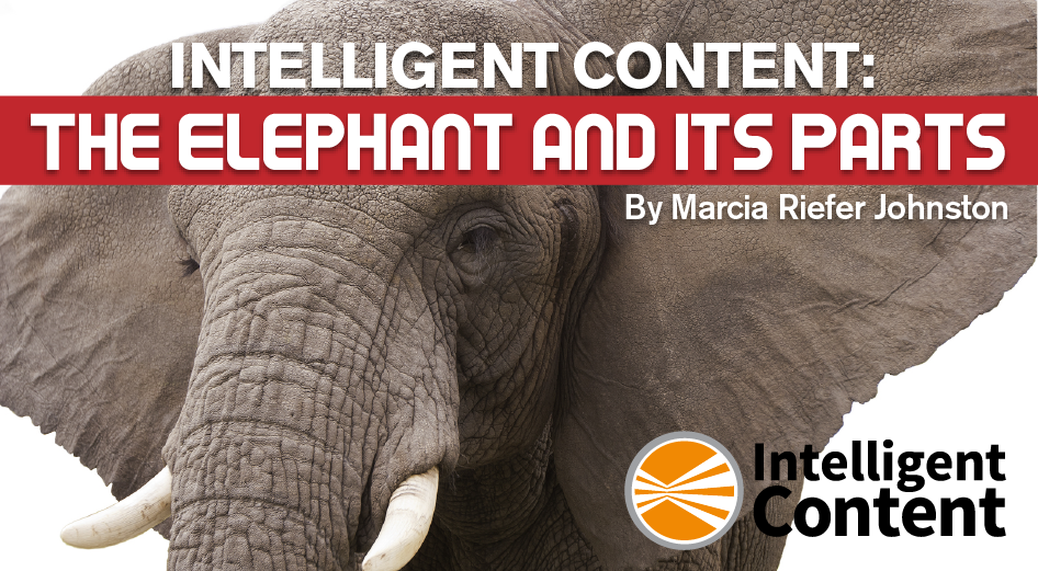 IC_Elephant1-01
