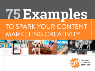 75 Examples cover image