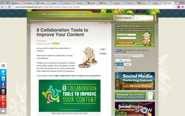 socialmediaexaminer-sidebar-form-image 15