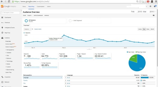 google-analytics-screenshot