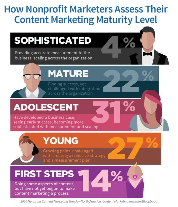 2016-Nonprofit-assess-maturity-level
