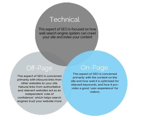 3-seo-branches-1