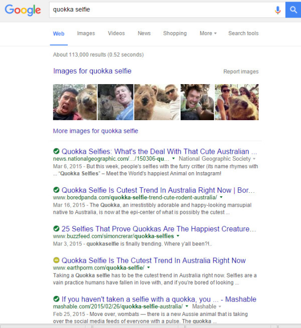 quokka-selfie-google v2