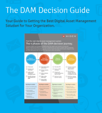 DAM-decision-guide-cover