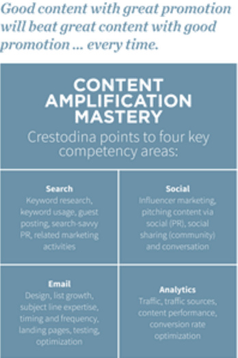 content-amplification-mastery
