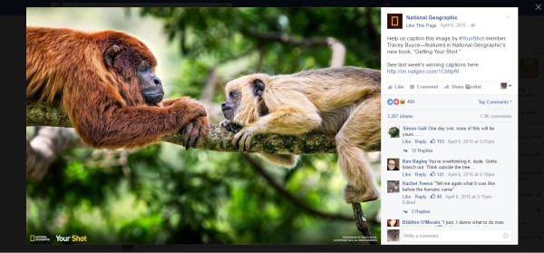 Engagement-Caption-This