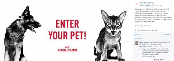Royal Canin Contest