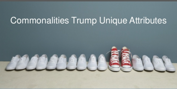 commonalities—shoes