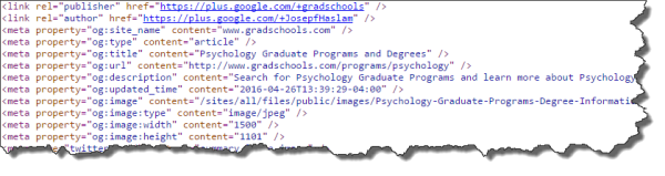 Example-Meta-Tags