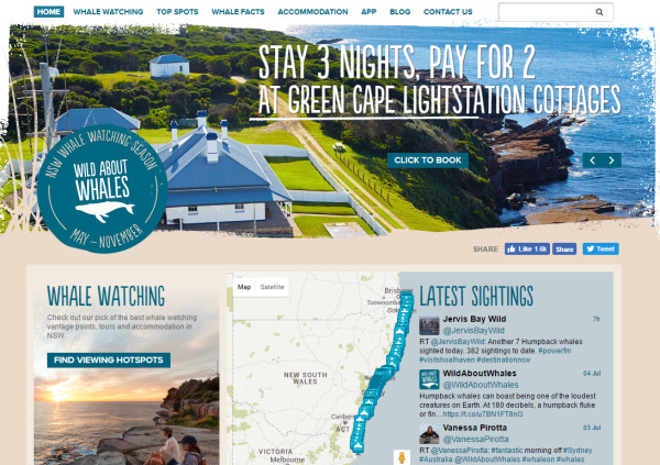 wild-about-whales-website-example