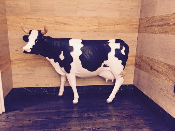 Denver-hotel-lobby-cow