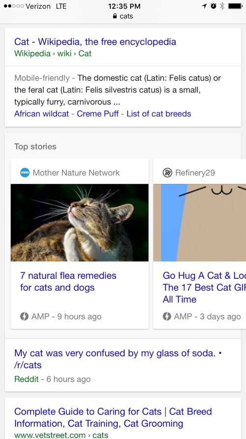 Google-AMP