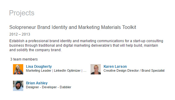 lisa-dougherty-projects-example-linkedin