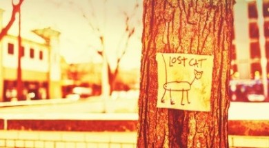 art-science-emotional-engagement