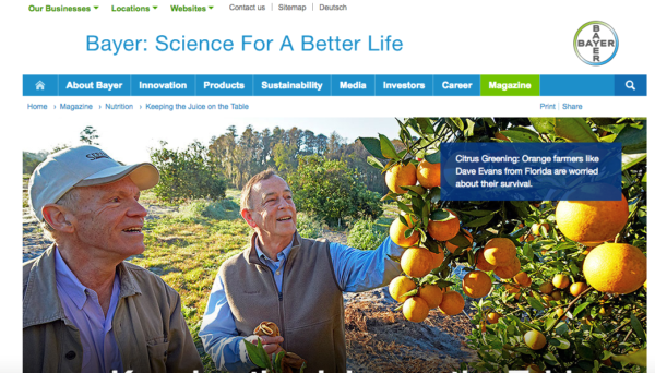 bayer-article