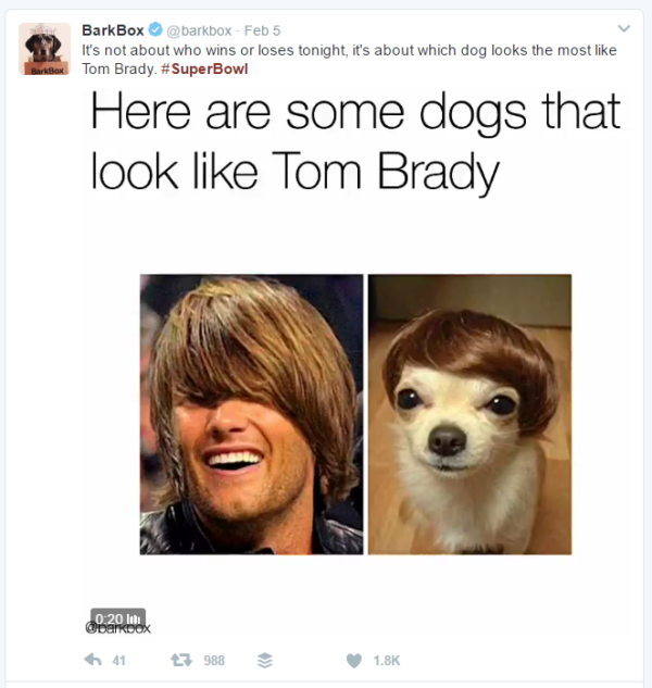 BarkBox