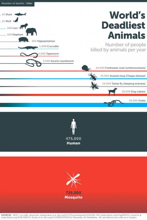World's-deadliest-animals-infographic
