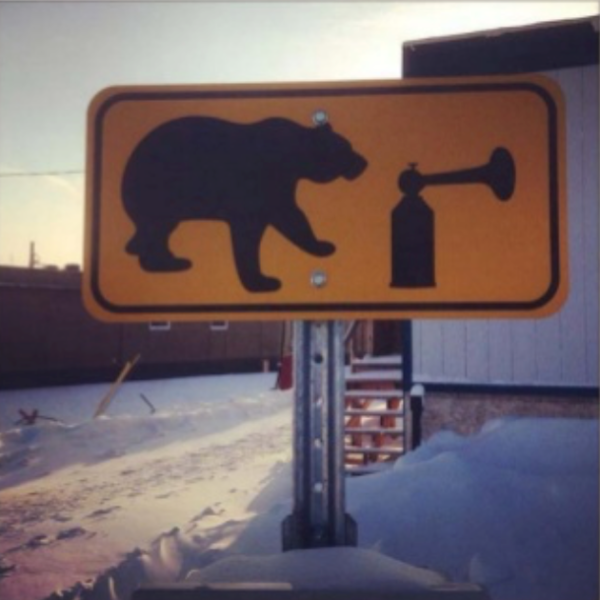 Beware of bears making announcements.
