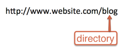 blog-root-website-example