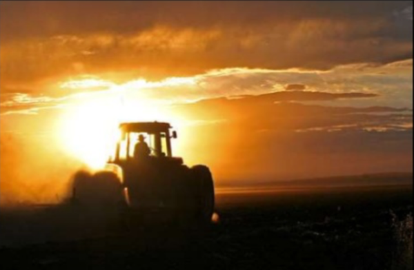 tractor-sunset